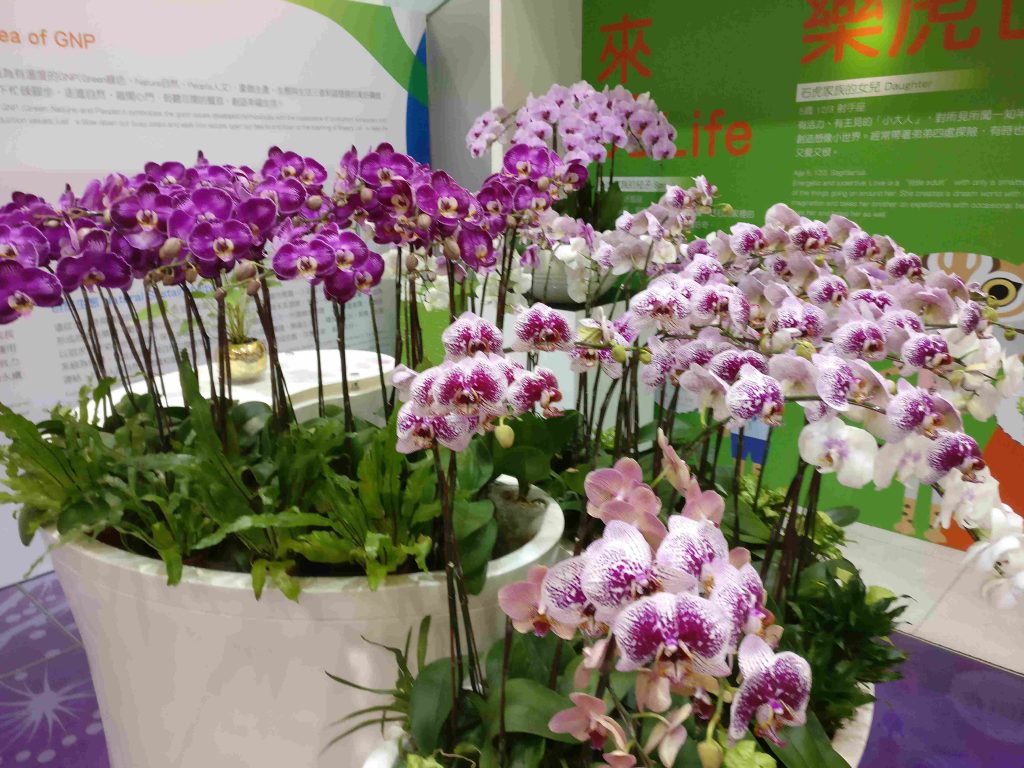 Orchid Growing For Beginners The Definitive Guide